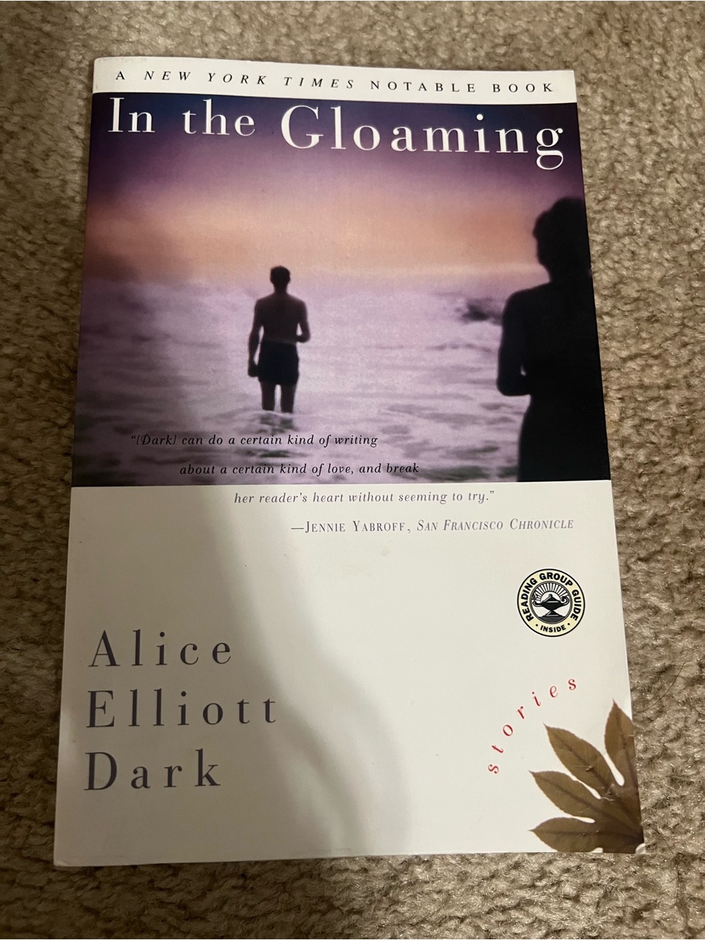 In the Gloaming by Alice Elliott Dark Book